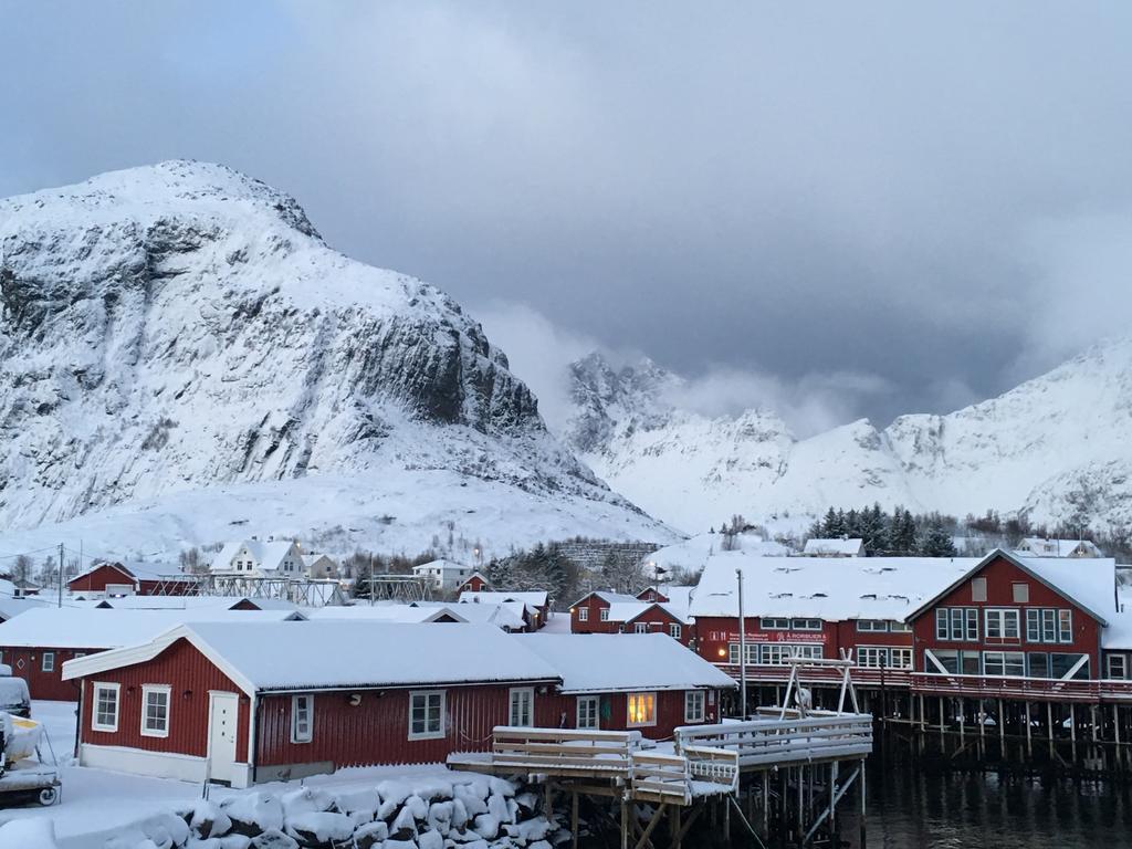 Lofoten Fishing