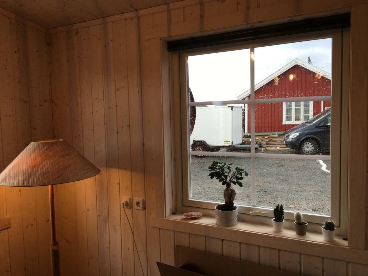 Lofoten Fishing * Å